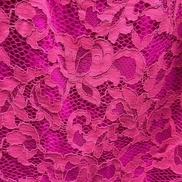 Lilly Pulitzer Pink Lace Dress - Picture 7 of 14